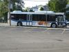 4239-01347.JPG