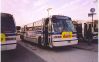 fla8425.jpg