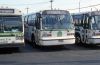 Green_Bus_Lines_1174_4-1995_mb.jpg