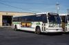 Green_Bus_Lines_624_mb.jpg