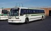 Green_Bus_Lines_641_mb.jpg