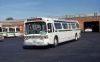 Green_Bus_Lines_951_mb.jpg